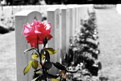 mark_eckersley_photo